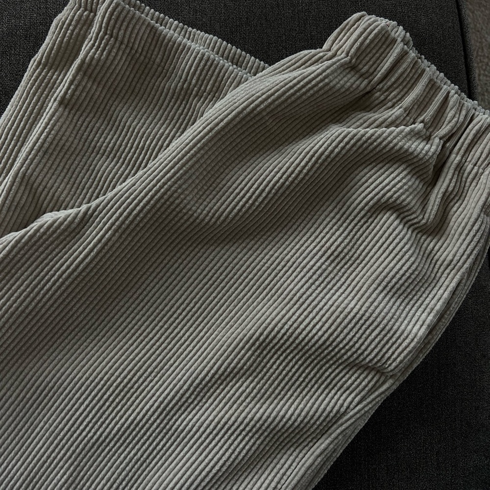 BDG corduroy wide leg pants